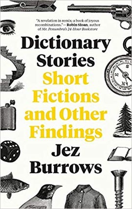 Item #45538 Dictionary Stories: Short Fictions and Other Findings. Jez Burrows